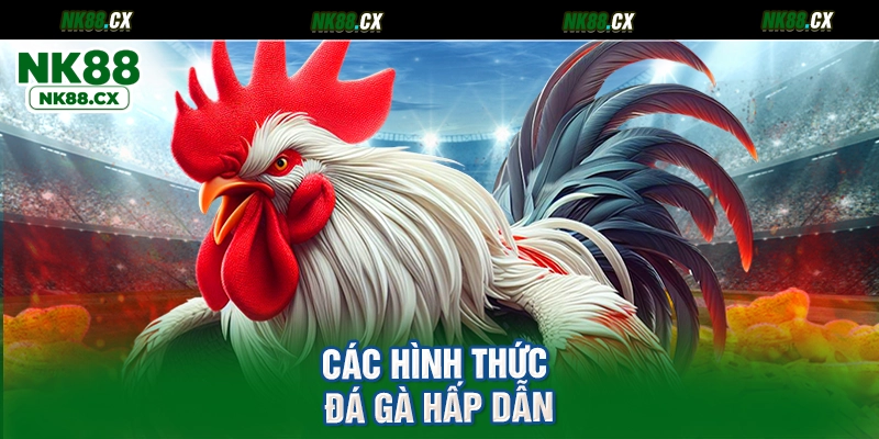 Các hình thức đá gà hấp dẫn