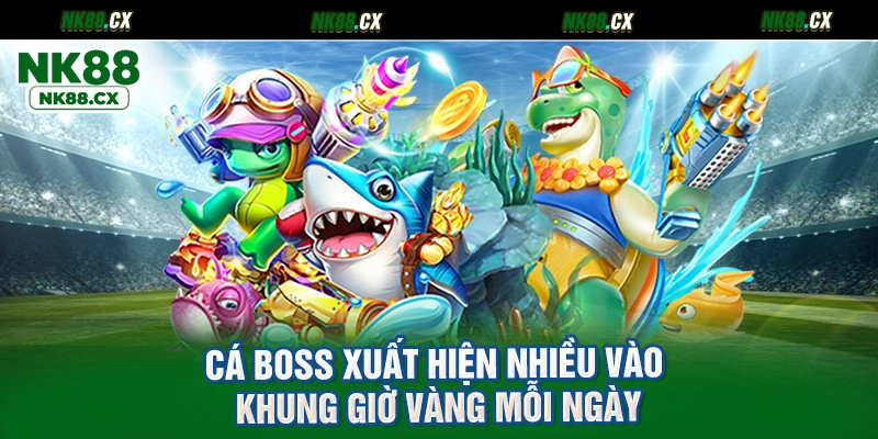 Cá boss xuất hiện nhiều vào khung giờ vàng mỗi ngày