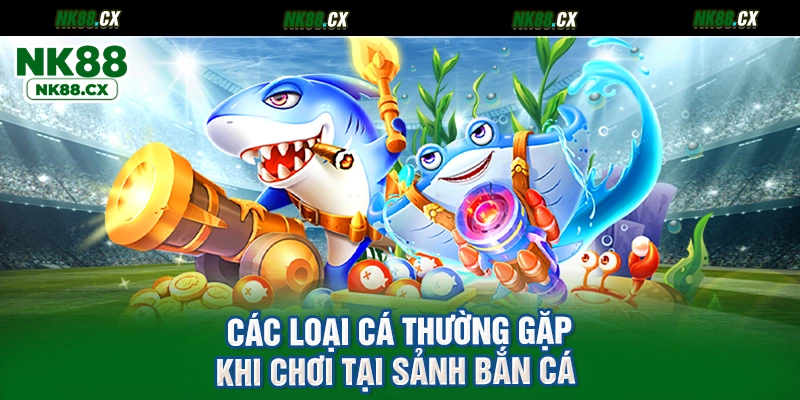 Các loại cá thường gặp khi chơi tại sảnh bắn cá